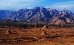 展出文物200件（套 